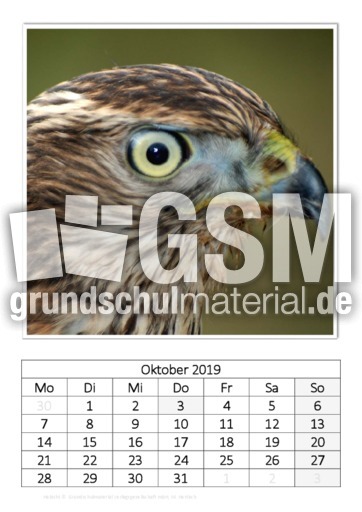 Oktober_Habicht.pdf